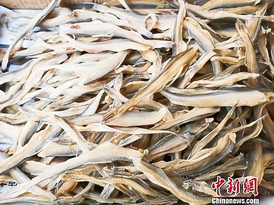龍頭魚是哪里的特產