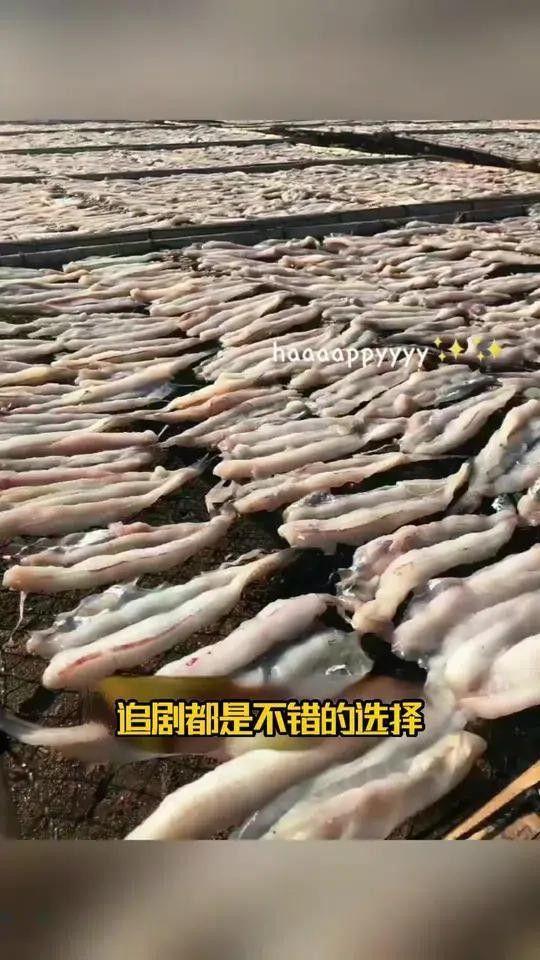 龍頭魚是哪里的特產