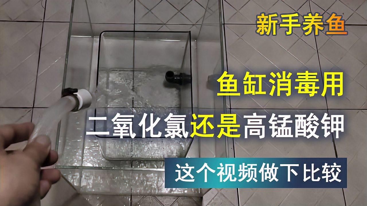 龍魚缸清洗后如何消毒