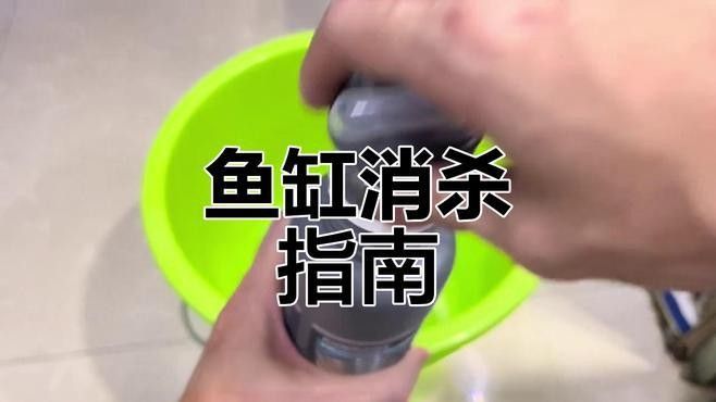 龍魚缸清洗后如何消毒