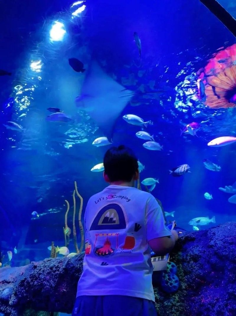 沈北哪個水族館龍魚好？祥龍魚場龍魚