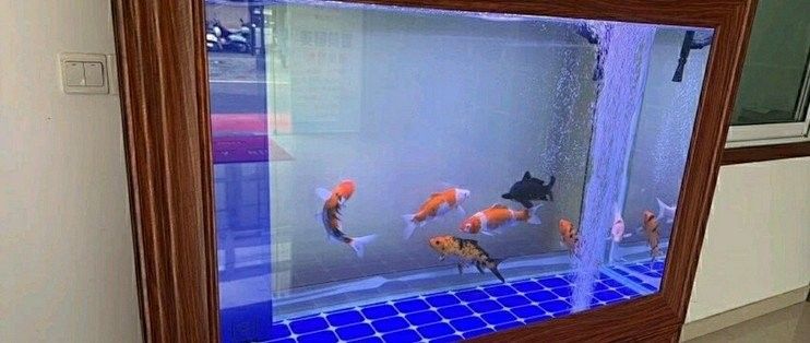 歐博龍魚缸有哪些售后服務政策 歐博龍魚缸有哪些售后服務政策 龍魚百科 第2張