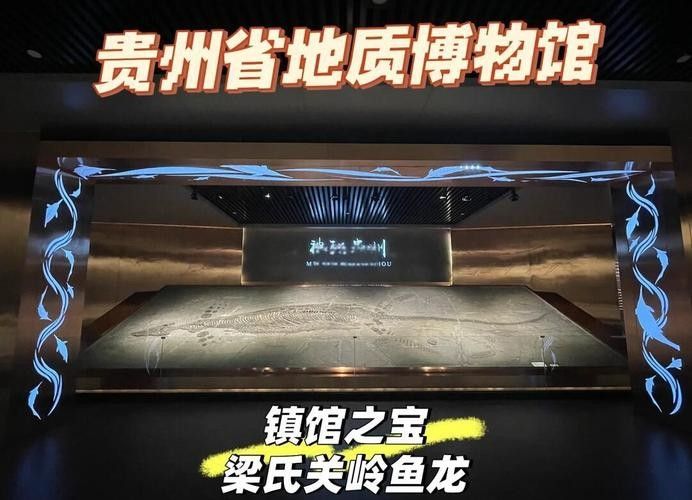 推薦一些高清的龍魚化石圖片資源