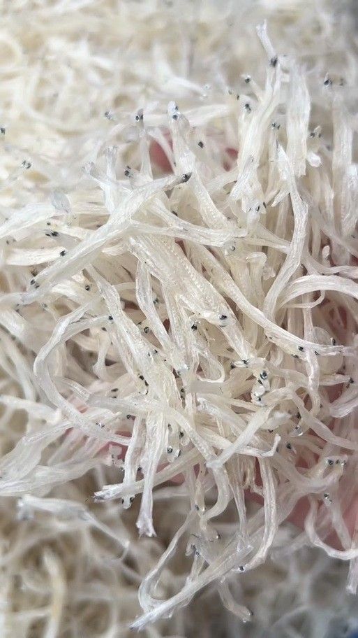 都昌銀魚