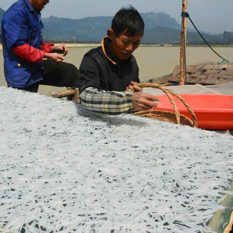 都昌銀魚