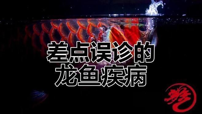 龍魚病菌圖片大全