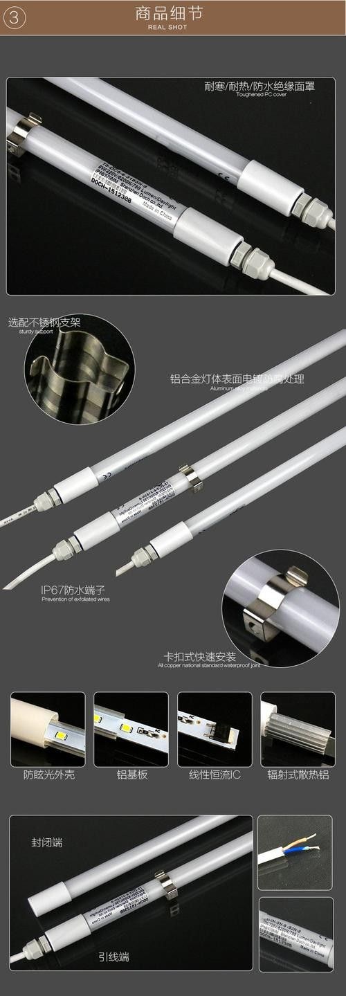 如何選擇適合龍魚的專用燈管