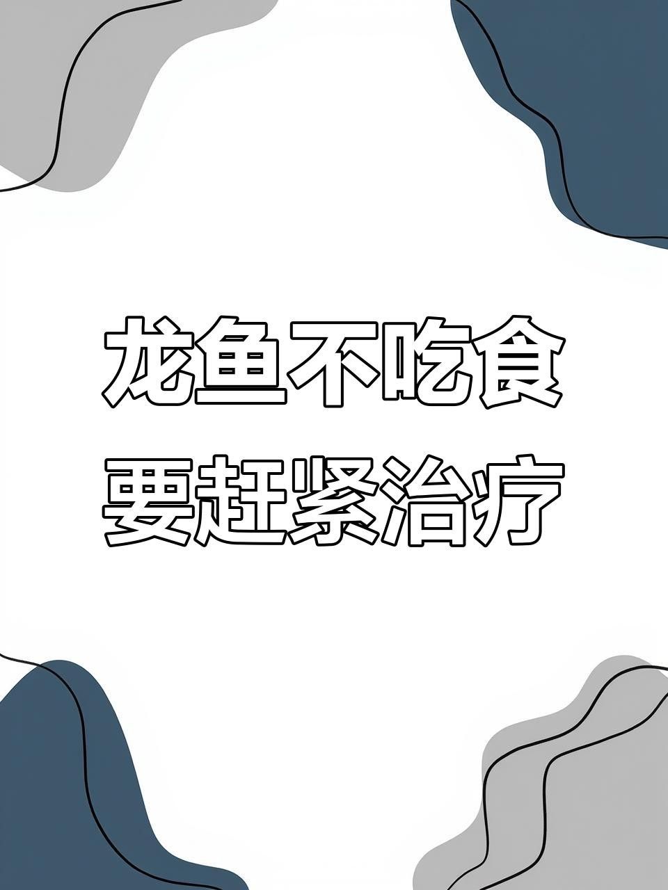 龍魚不吃東西怎么回事視頻 龍魚不吃東西怎么回事視頻 觀賞魚百科 第4張