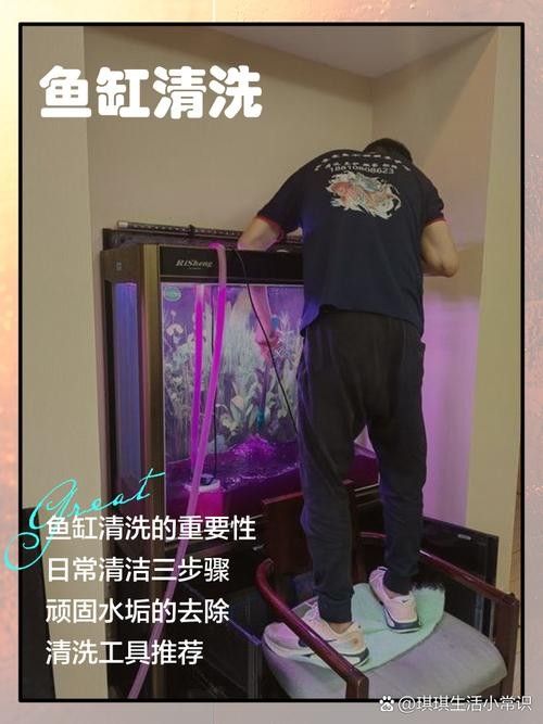 如何保持雷龍魚缸的清潔