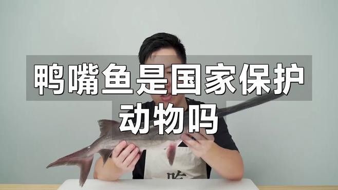 撒旦鴨嘴魚屬于國家保護動物嗎（撒旦鴨嘴魚是國家保護動物嗎）