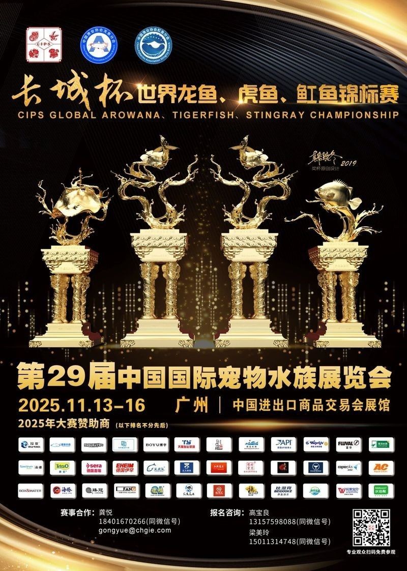 2025年龍魚長城杯時間（2025年“長城杯”世界龍魚錦標賽2025賽事時間表）