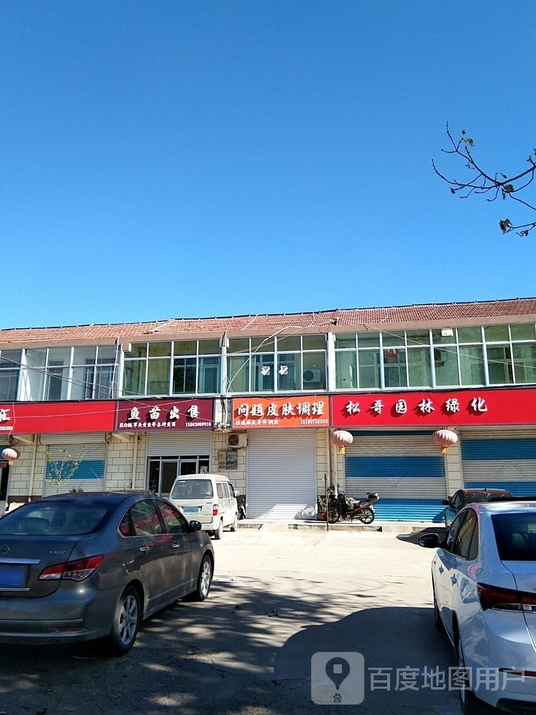 如何聯系青島龍魚魚苗漁場（青島地區與龍魚魚苗相關的漁場聯系方式匯總）