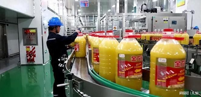 西寧金龍魚是雜牌子還是名牌
