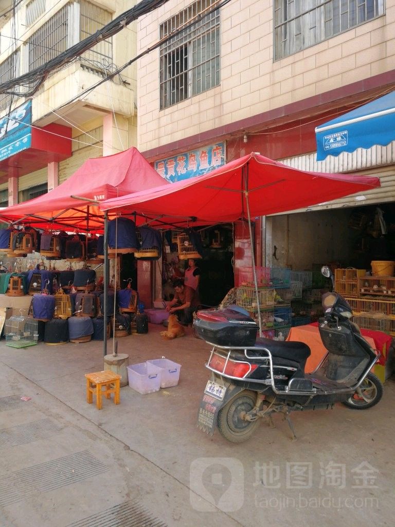 呈貢龍魚（云南省昆明市呈貢區呈貢龍魚）