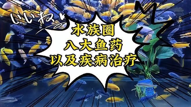 水族疾病觀賞魚（觀賞魚常見疾病及其防治方法）