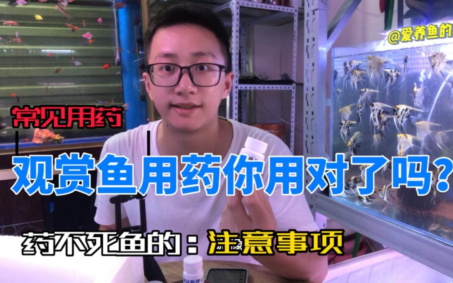 水族疾病觀賞魚（觀賞魚常見疾病及其防治方法）