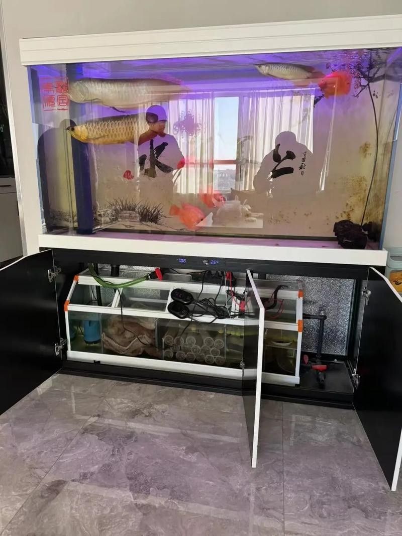 如何聯系東海龍宮御龍魚缸的廠商？（東海龍宮御龍魚缸廠商聯系方式）