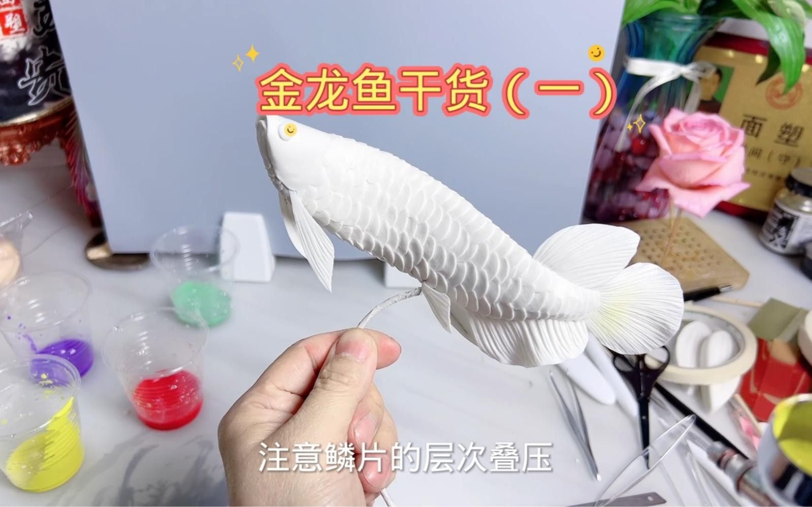 堆龍德慶金龍魚最簡單三個步驟（堆龍德慶金龍魚最簡單三個步驟清晰易操作）