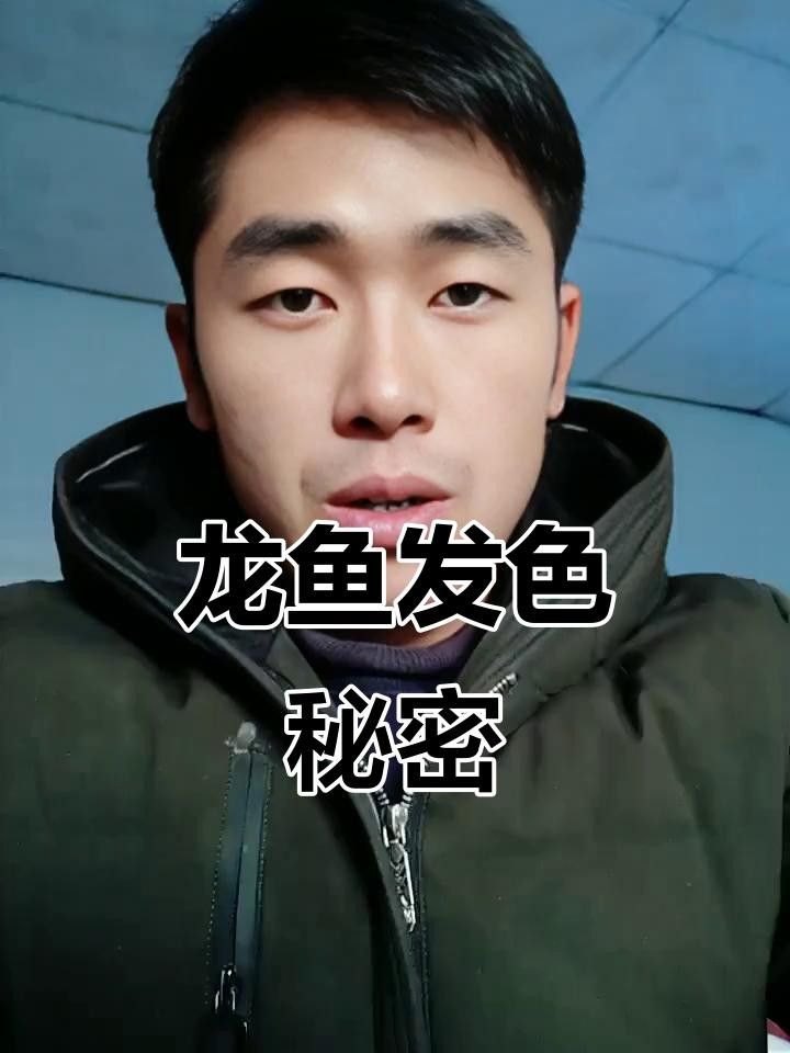 龍魚發色秘訣（實用秘籍龍魚上色技巧大揭秘龍魚發色提升秘訣） 龍魚發色秘訣（實用秘籍龍魚上色技巧大揭秘龍魚發色提升秘訣） 觀賞魚百科 第5張