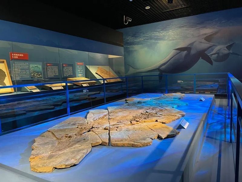 興義哪個水族館龍魚好？祥龍魚場龍魚（《海怪食譜2.0》全新上架深圳博物館祥龍魚場）