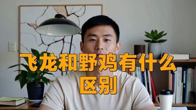 飛龍魚的生活習性（關于飛龍魚的一些主要特征）