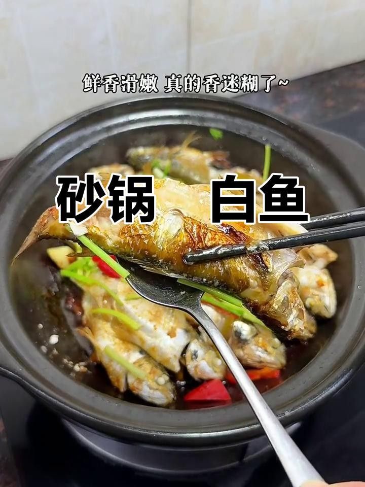 湛江白花魚（湛江白花魚是怎樣的一種魚雅歌湛江白花魚的養(yǎng)殖技術(shù)）