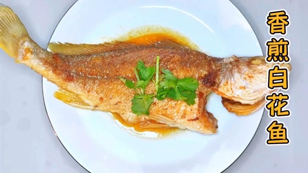 湛江白花魚（湛江白花魚是怎樣的一種魚雅歌湛江白花魚的養(yǎng)殖技術(shù)）