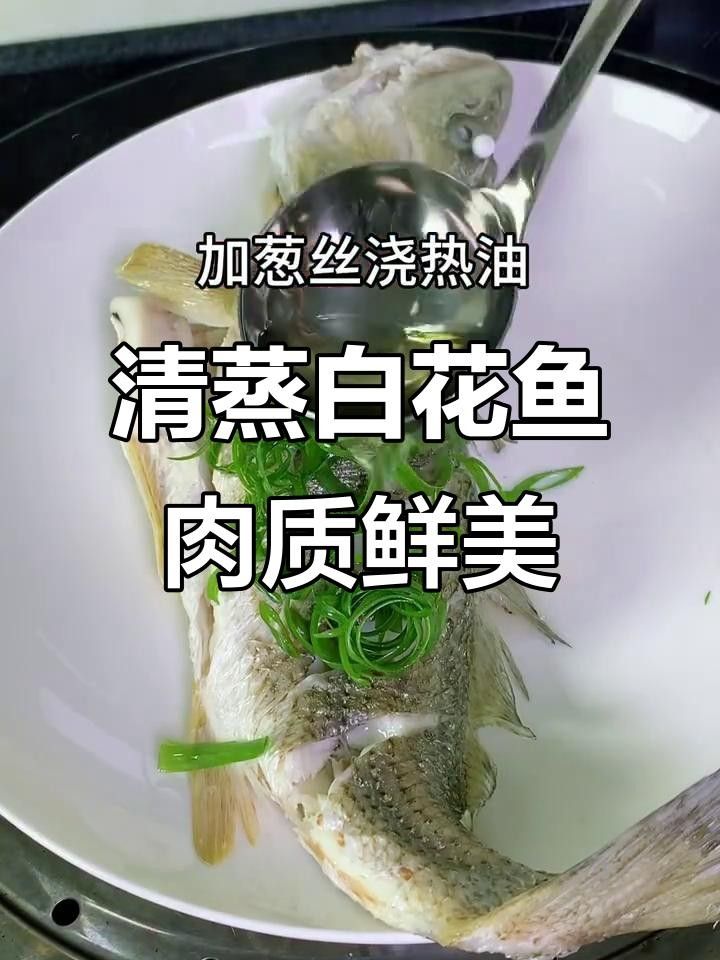 湛江白花魚（湛江白花魚是怎樣的一種魚雅歌湛江白花魚的養(yǎng)殖技術(shù)）