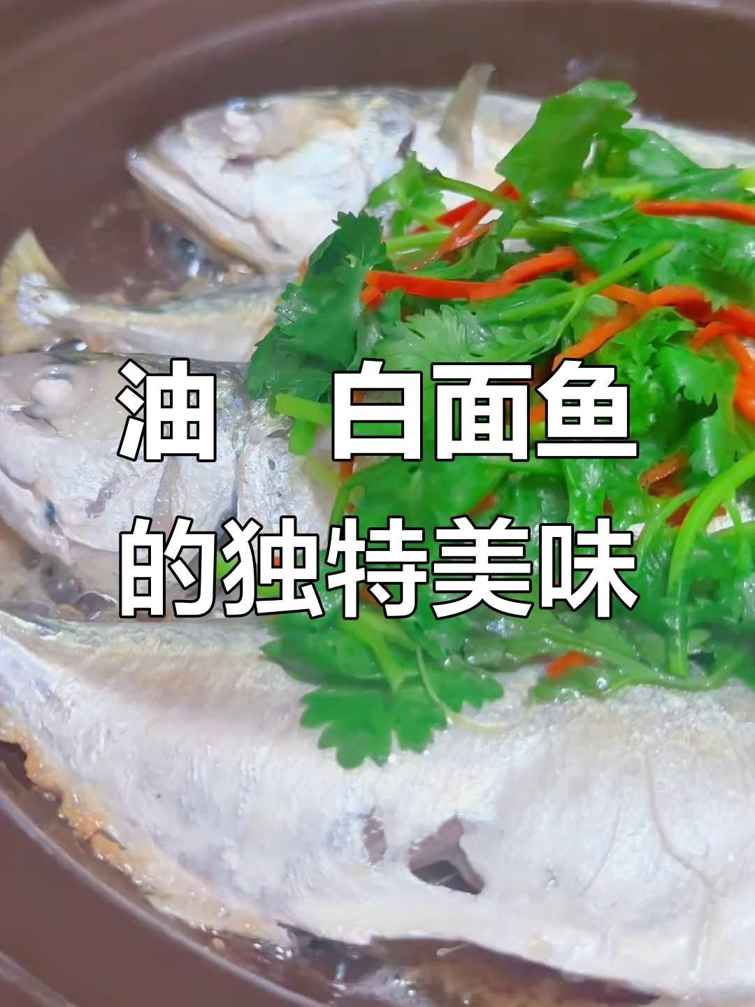 湛江白花魚（湛江白花魚是怎樣的一種魚雅歌湛江白花魚的養(yǎng)殖技術(shù)）