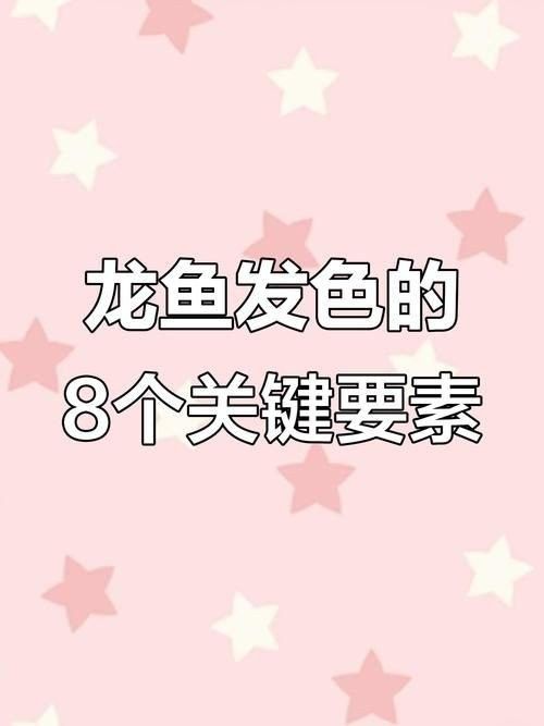 無(wú)錫紅龍魚(yú)（全網(wǎng)最詳細(xì)的養(yǎng)紅龍教程無(wú)錫紅龍魚(yú)的養(yǎng)殖技巧）