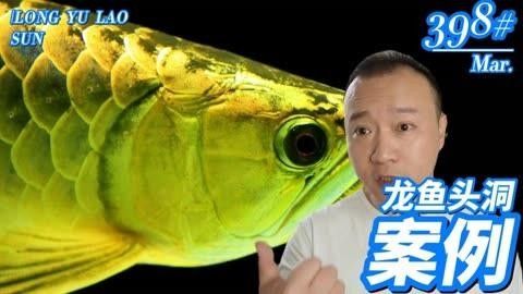 龍魚感染寄生蟲癥狀（龍魚寄生蟲的種類及其癥狀）