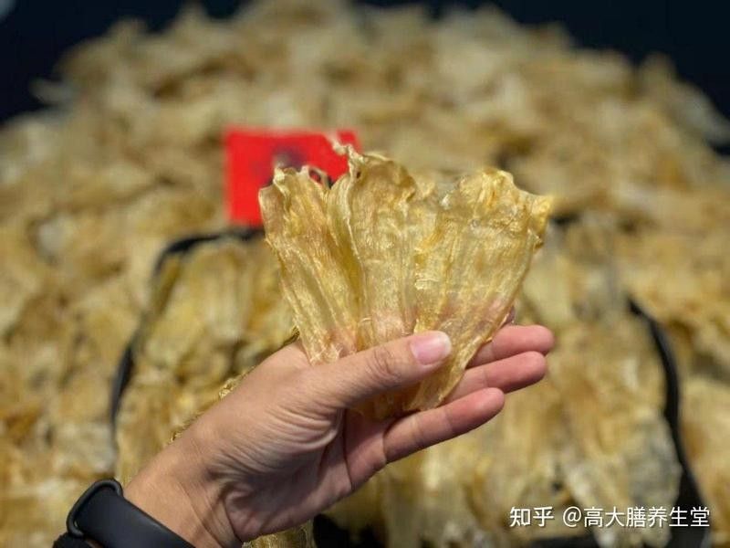 推薦一些大金龍魚膠的品牌（大金龍魚膠品牌推薦） 推薦一些大金龍魚膠的品牌（大金龍魚膠品牌推薦） 龍魚百科 第12張