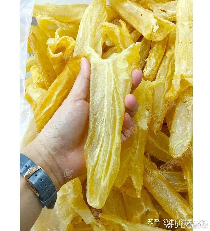 推薦一些大金龍魚膠的品牌（大金龍魚膠品牌推薦） 推薦一些大金龍魚膠的品牌（大金龍魚膠品牌推薦） 龍魚百科 第11張