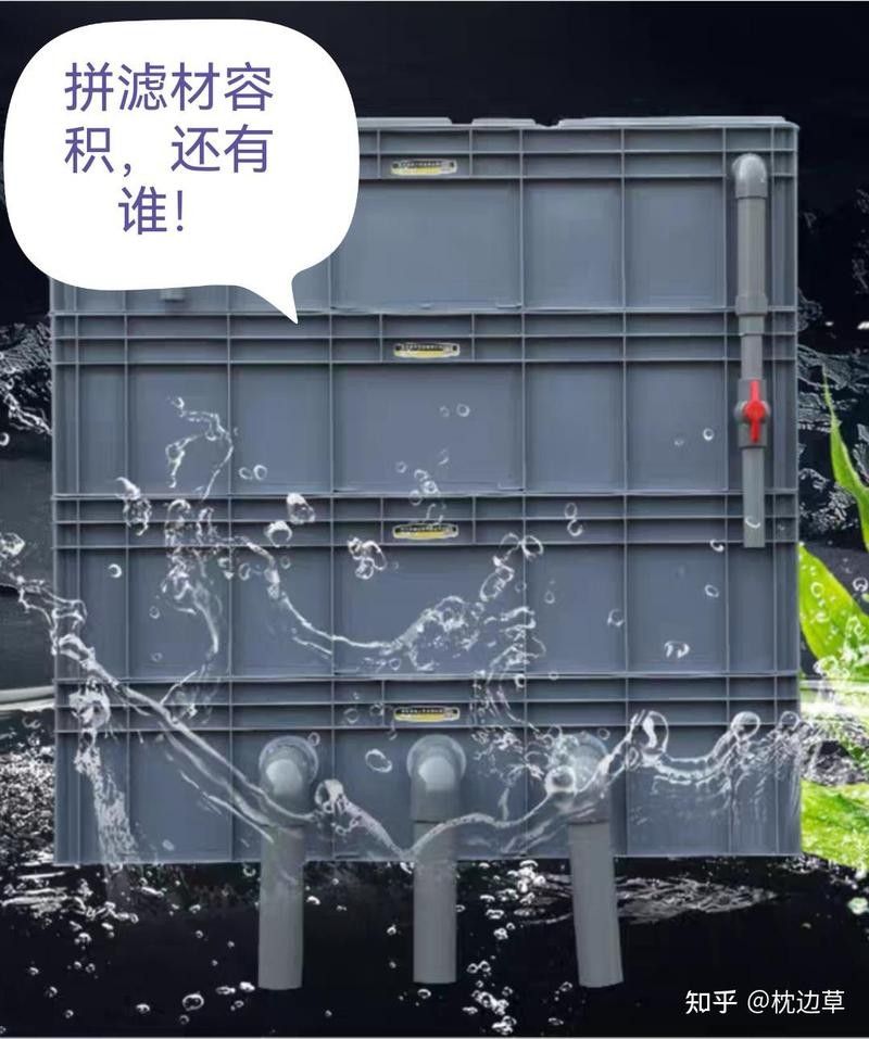 四大神獸魚(yú)混養(yǎng)需要哪些設(shè)備（四大神獸魚(yú)混養(yǎng)需要準(zhǔn)備哪些設(shè)備）