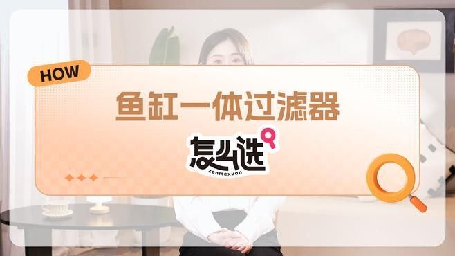 四大神獸魚(yú)混養(yǎng)需要哪些設(shè)備（四大神獸魚(yú)混養(yǎng)需要準(zhǔn)備哪些設(shè)備）
