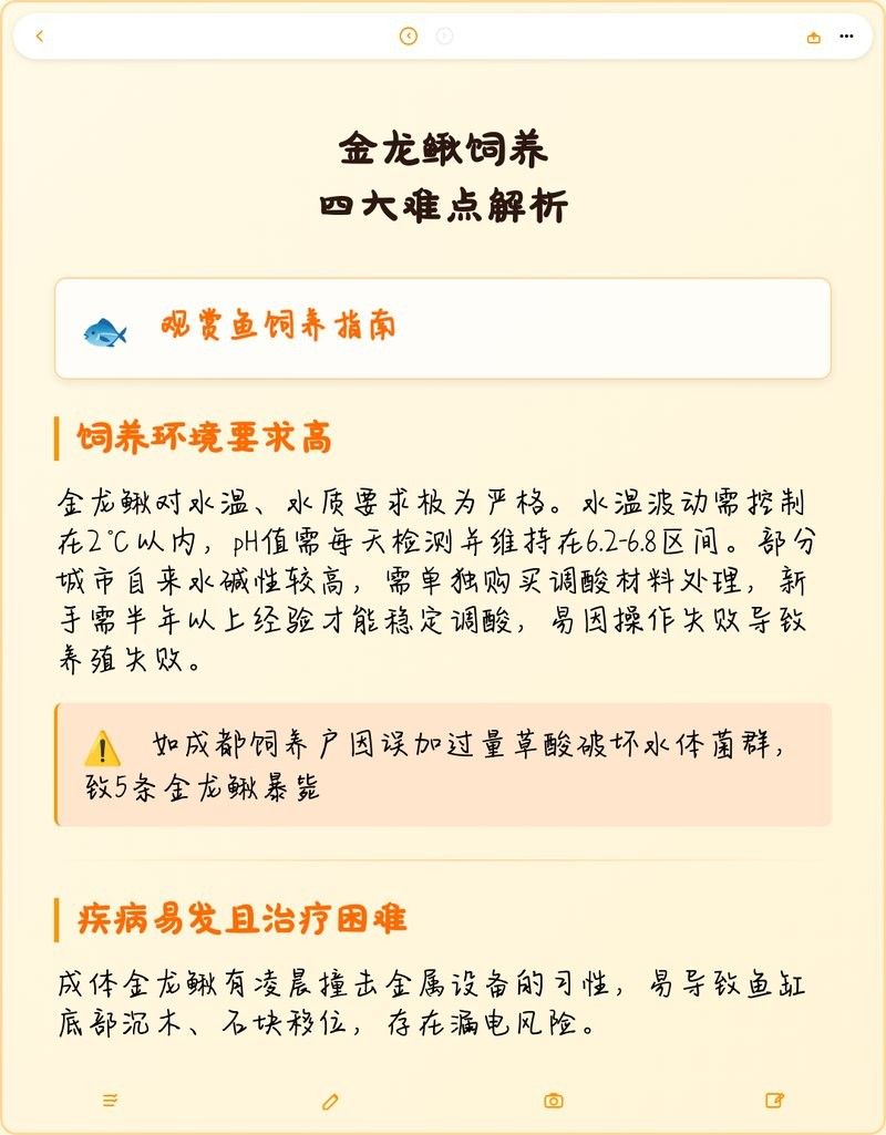 金龍鰍為什么不建議養（不推薦養金龍鰍的原因，不推薦養金龍鰍的原因包括以下幾點）