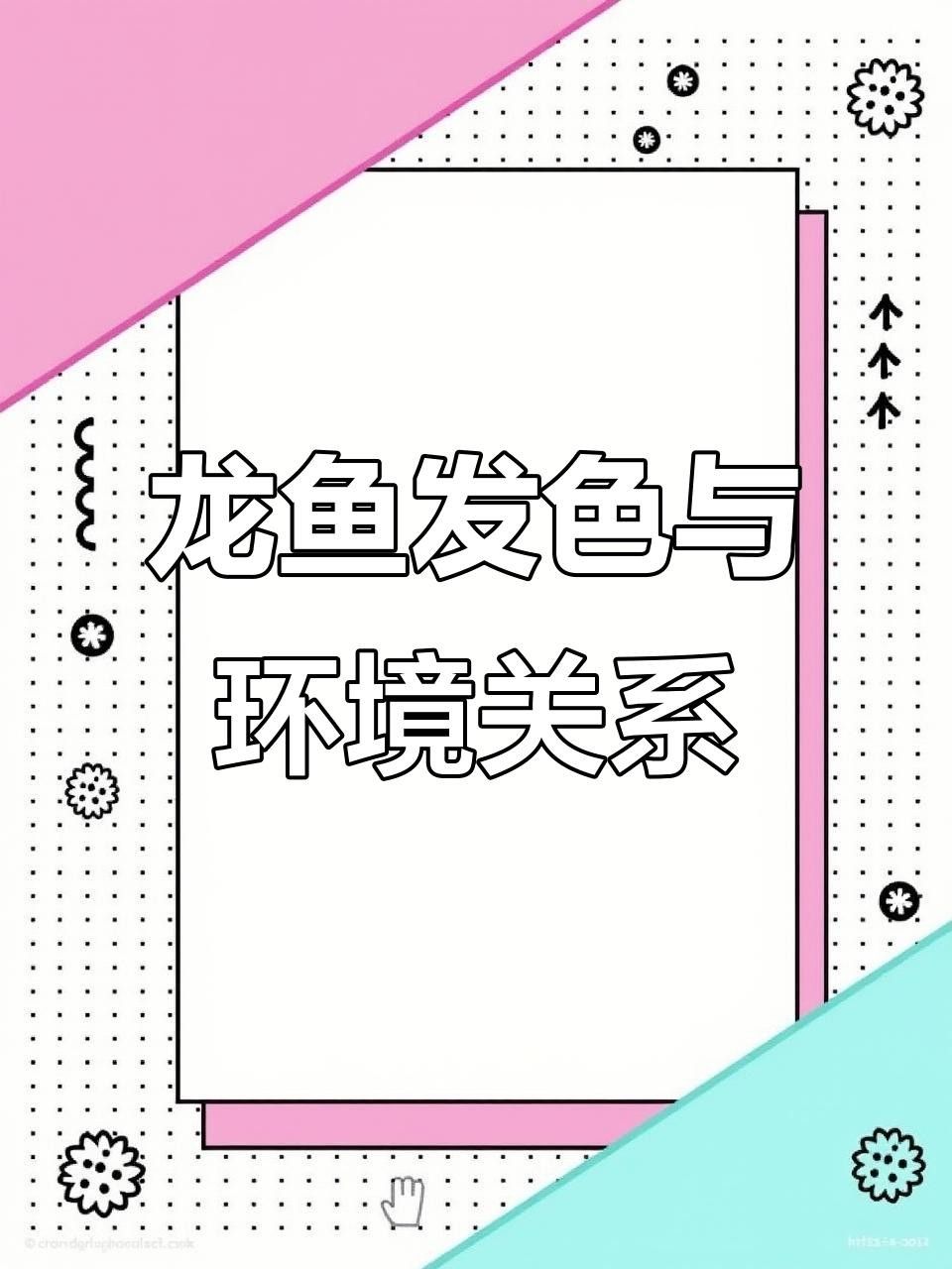 龍魚怎么變色快（養紅龍魚發色出狀態攻略龍魚發色出狀態攻略養魚玩家必看）