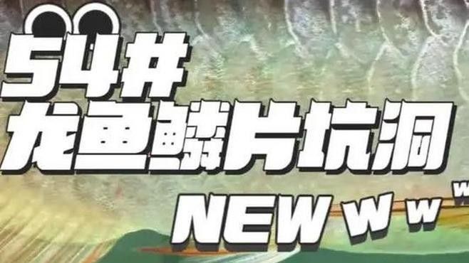龍魚(yú)鱗片上有個(gè)小窟窿是什么（龍魚(yú)鱗片上的小窟窿會(huì)自愈嗎？）