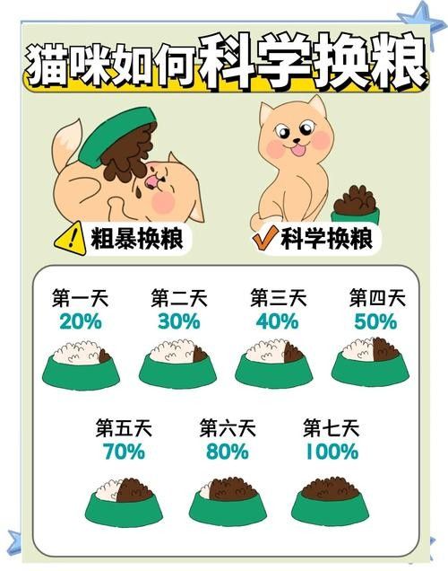 龍貓換糧后應該如何科學喂養？（貓換糧后的科學喂養是確保它們健康和幸福的關鍵，以下指導原則） 龍貓換糧后應該如何科學喂養？（貓換糧后的科學喂養是確保它們健康和幸福的關鍵，以下指導原則） 龍魚百科 第1張