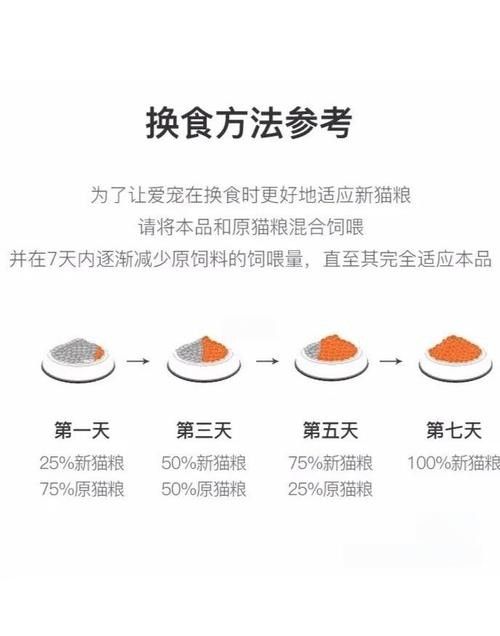 龍貓換糧后應該如何科學喂養？（貓換糧后的科學喂養是確保它們健康和幸福的關鍵，以下指導原則） 龍貓換糧后應該如何科學喂養？（貓換糧后的科學喂養是確保它們健康和幸福的關鍵，以下指導原則） 龍魚百科 第4張