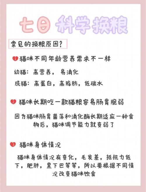 龍貓換糧后應該如何科學喂養？（貓換糧后的科學喂養是確保它們健康和幸福的關鍵，以下指導原則） 龍貓換糧后應該如何科學喂養？（貓換糧后的科學喂養是確保它們健康和幸福的關鍵，以下指導原則） 龍魚百科 第5張