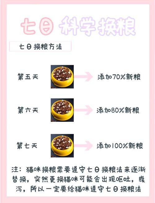 龍貓換糧后應該如何科學喂養？（貓換糧后的科學喂養是確保它們健康和幸福的關鍵，以下指導原則） 龍貓換糧后應該如何科學喂養？（貓換糧后的科學喂養是確保它們健康和幸福的關鍵，以下指導原則） 龍魚百科 第3張