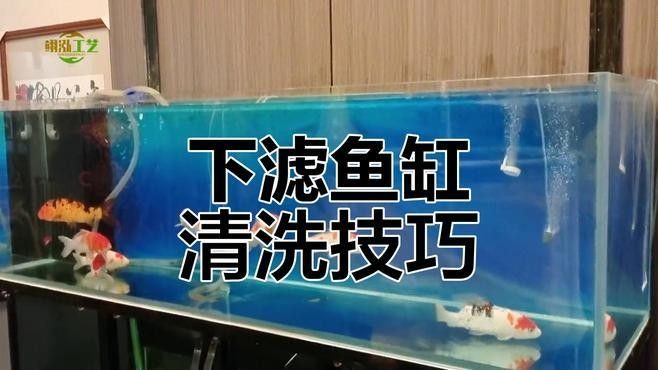 底濾缸清洗時(shí)需要注意什么？（家用魚缸如何正確清洗底濾魚缸的維護(hù)有那么難嗎）