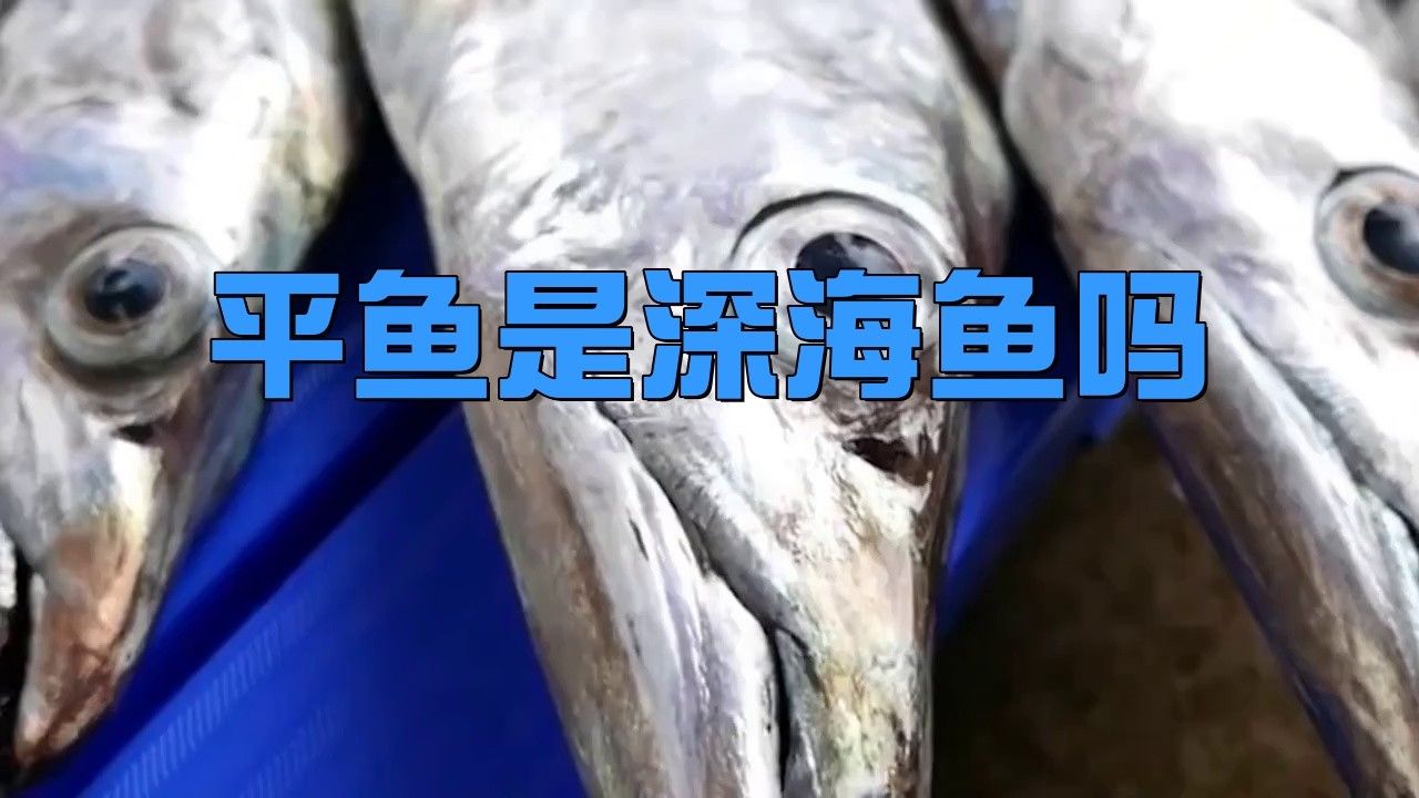 平魚是哪里產的（平魚是深海魚嗎）