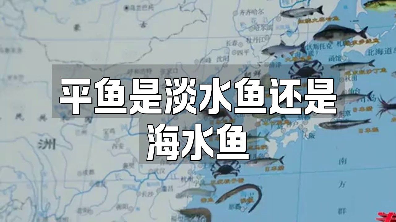 平魚是哪里產的（平魚是深海魚嗎）