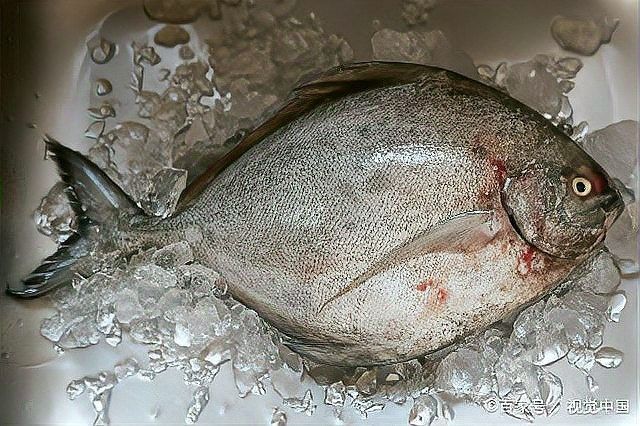 平魚是哪里產的（平魚是深海魚嗎）