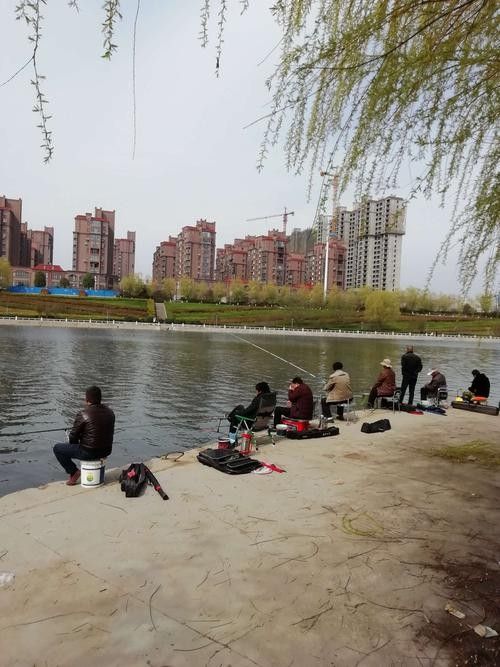 社旗釣魚點(中國湖北荊州社旗釣魚點位于中國湖北省荊州市監利縣) 觀賞魚百科 第2張 社旗釣魚點(中國湖北荊州社旗釣魚點位于中國湖北省荊州市監利縣) 社旗釣魚點(中國湖北荊州社旗釣魚點位于中國湖北省荊州市監利縣) 觀賞魚百科 第2張