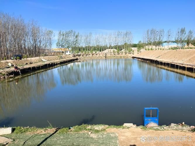 社旗釣魚點(中國湖北荊州社旗釣魚點位于中國湖北省荊州市監利縣) 觀賞魚百科 第4張 社旗釣魚點(中國湖北荊州社旗釣魚點位于中國湖北省荊州市監利縣) 社旗釣魚點(中國湖北荊州社旗釣魚點位于中國湖北省荊州市監利縣) 觀賞魚百科 第4張