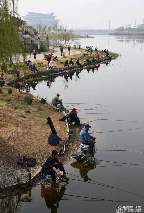 社旗釣魚點(中國湖北荊州社旗釣魚點位于中國湖北省荊州市監利縣) 觀賞魚百科 第5張 社旗釣魚點(中國湖北荊州社旗釣魚點位于中國湖北省荊州市監利縣) 社旗釣魚點(中國湖北荊州社旗釣魚點位于中國湖北省荊州市監利縣) 觀賞魚百科 第5張