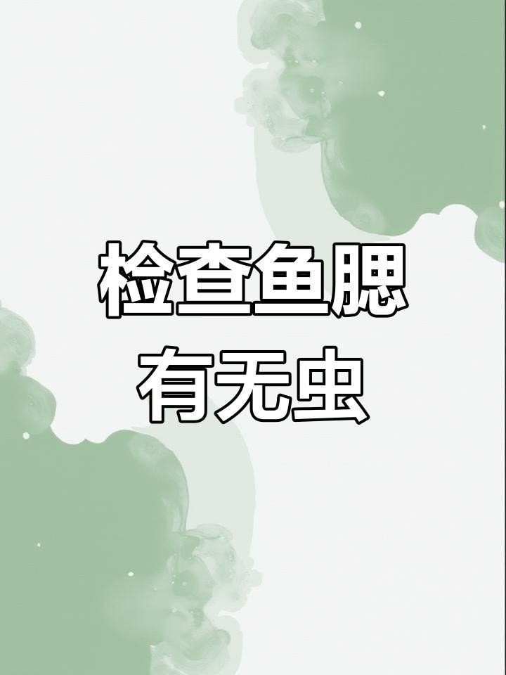 龍魚戰(zhàn)車有哪些飼養(yǎng)要點(diǎn)？（如何飼養(yǎng)龍魚戰(zhàn)車）